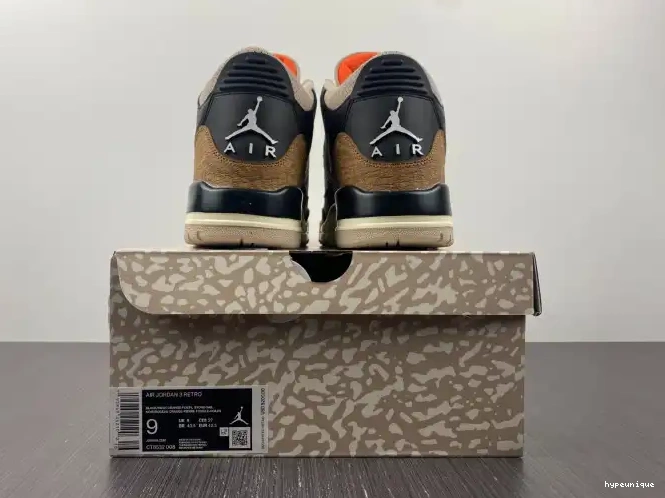 HYPE Jordan Desert 3 CT8532-008 Air Elephant 0624
